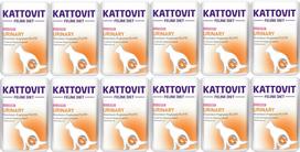 Kattovit Šlapimo lašiša 12x85g paketėlis