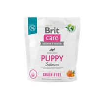 BRIT CARE Dog Grain-free Puppy Salmon 2x1kg