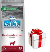 FARMINA Vet Life Dog Gastrointestinal 12kg + STAIGMENA ŠUNUI