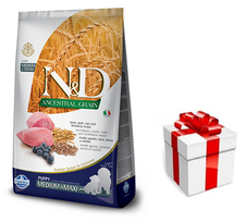 Farmina N&D Ancestral Grain canine LAMB & BLUEBERRY PUPPY MEDIUM & MAXI 12 kg + STAIGMENA ŠUNIUI