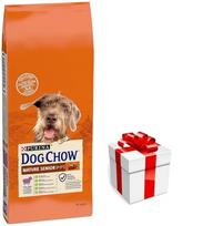 PURINA Dog Chow Mature Senior Lamb 14kg + STAIGMENA ŠUNIUI