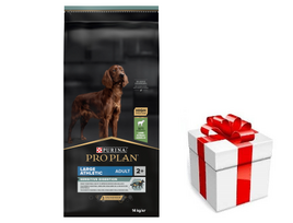 PRO PLAN Sensitive Digestion Large Athletic suaugusių šunų ėdalas su ėriena 14kg + STAIGMENA ŠUNUI