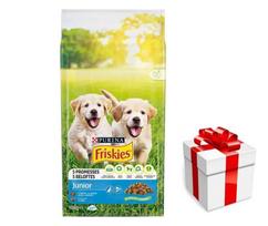 PURINA Friskies Junior 15kg + STAIGMENA ŠUNUI