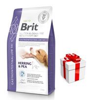 BRIT GF Veterinary Diets dog Gastrointestinal-Low Fat 2kg + STAIGMENA ŠUNUI