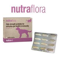 NUTRAVET Nutraflora šunims ir katėms 48 kapsulės - didelio stiprumo probiotikas kasdieniam žarnyno ir imuninės sistemos sveikatinimui