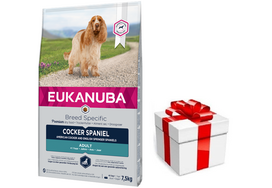EUKANUBA Adult Cocker Spaniel 7,5kg + STAIGMENA ŠUNIUI