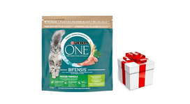 Purina One Indoor Cat suaugusių kačių ėdalas su kalakutiena katėms 1,5kg + STAIGMENA KATEI