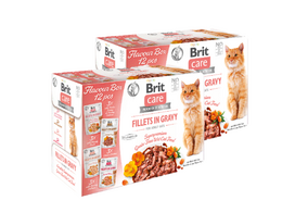 BRIT CARE Cat Fillets in Gravy mix 24x85g