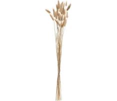 Eglo 428039 - Džiovinta gėlė GUIPOS 60 cm smėlio spalva