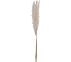 Eglo 428074 - Džiovinta gėlė GUIPOS 70 cm balta