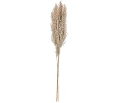 Eglo 428082 - Džiovinta gėlė GUIPOS 85 cm smėlio spalva