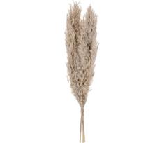 Eglo 428083 - Džiovinta gėlė GUIPOS 55 cm smėlio spalva