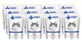 ENZO VET Renal su jautiena želė katėms 12x100g
