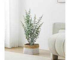 Eglo 428378 - Dirbtinis augalas vazone TOBETSU 76x25,5 cm