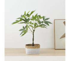 Eglo 428341 - Dirbtinis augalas vazone YUBETSU 61x40,6 cm