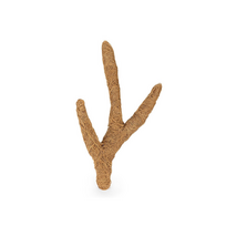 Happet Coconut Branch kokoso šaka terariumams, 40 cm