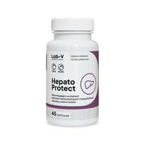LAB-V Hepato Protect - Kepenų funkcijos palaikymas šunims ir katėms 45 kapsulės