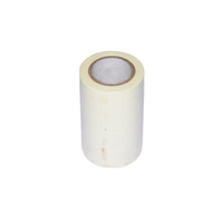 LIPNI JUOSTA RULONAMS 0,19X100MMX10MBL
