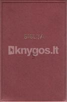 Biblija maža (kanoninė)