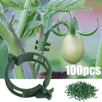 100 vnt. augalų segtukai, sagties kabliukas, plastikinės atramos, jungiančios daugkartinio naudojimo sodo reikmenis, skirtus daržovių pomidorams 100Pcs