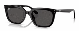 Universalus Akiniai RAY-BAN RB4439D 901/87