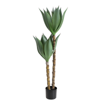 Agava 120cm