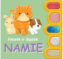 Paliesk ir išgirsk. Namie - Aidas Jurašius