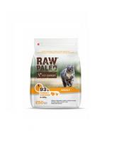 VETEXPERT Raw Paleo Adult Cat Turkey&Chicken suaugusioms katėms kalakutiena, vištiena 250 g
