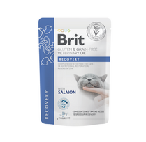Brit GF Veterinary Diets kons. katėms maiš. Recovery 12 x 85g