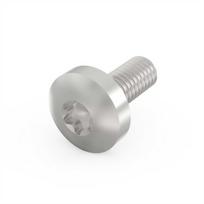 SCHROFF varžtas su šešiakampe galvute, Torx, GND funkcija, cinkuotas plienas, M4 10 mm, 100 vnt.