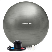 Gimnastikos kamuolys Tunturi Gymball 55-90 cm, Silver, Anti Burst (Diametras: 75 cm)