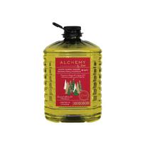 Žieminis langų plovimo skystis ALCHEMY, -25 °C, 4 l
