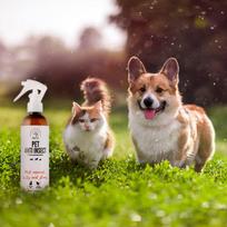 PETS „Pet Shield“ rinkinys - veiksminga apsauga keturkojams šunims