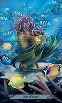 Mermaid Taro kortos Llewellyn