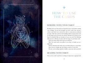 Oriens Animal tarot Taro kortos Rockpool