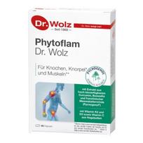 Dr. Wolz PHYTOFLAM kaulams, sąnariams, 60 kapsulių
