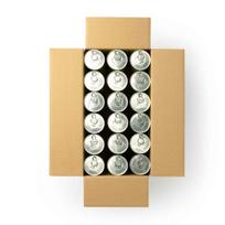 Slinger Dunlop Fort TR Plus (pressurized) 72 ball box