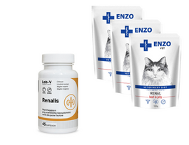 ENZO VET Renal su jautiena želė katėms 3x100g + LAB-V Renalis 45 kapsulėsj