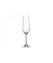 Šampano taurės CRYSTAL Strix, 200 ml, 6 vnt