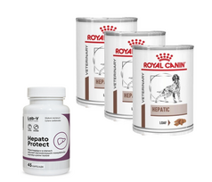 ROYAL CANIN Hepatic HF 16 420g skardinė + LAB-V Hepato Protect  45 kapsulės