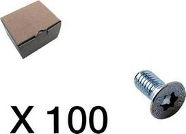 CUBIC Varžtas, įleidžiamas, torx, 100 vnt. pakuotėje.