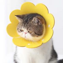 Cats Dogs Health Protection Cover Kaklo kūgio atstatymas Elžbietos laikų antkaklis Gyvūnams Apsauginis antkaklis geltona