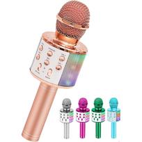 Karaoke mikrofonas su efektais WS-858