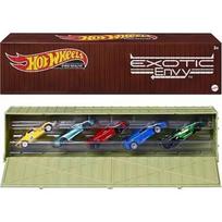 Hot Wheels Premium Exotic Envy Car Culture in Special Container Modeliukų rinkinys (Lamborghini Essenza,Bugatti EB110,Koenigsegg Agera,Alfa Romeo Stradale,McLaren Speedtail)