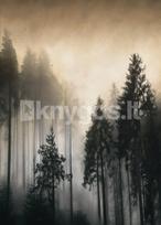 Taškuota užrašinė MIŠKAS, A5