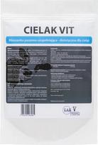 LAB-V Calf Vit - Dietiniai papildomi pašarai veršeliams imunitetui gerinti 1kg