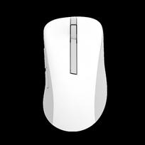 Asus Wireless Mouse | MD102 | Mouse | 2.4, MOUASU90XB0900_BMU010