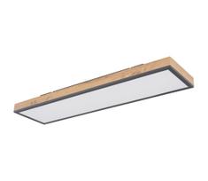 Globo 416080WD4-CCT - LED Pritemdomas lubinis šviestuvas DORO LED/24W/230V + +VP
