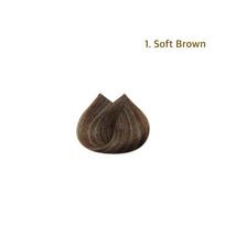 Richenna Easy Speedy Gold plaukų spalva [šampūno tipo dažai] 1ea (tubelė / vienas 40 g + antras 40 g) - 2 spalvos #1.Soft Brown