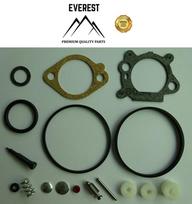 Remontinis komplektas BRIGGS&STRATTON QUANTUM 492495, 493762, 498260